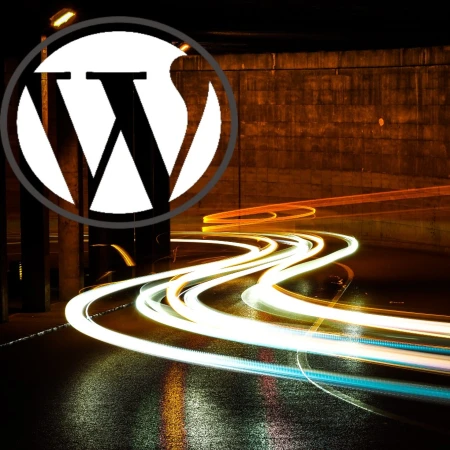 wordpress performance and caching