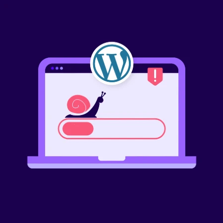 wordpress speed up service